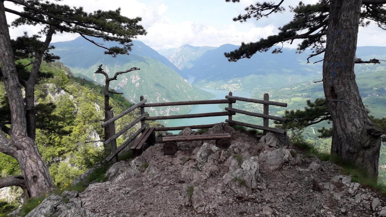 Apartmani Ogi I Ana Bajina Basta Luaran gambar